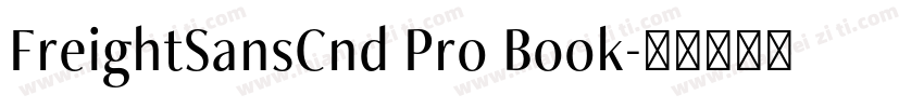 FreightSansCnd Pro Book字体转换